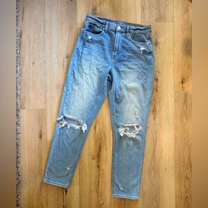 American Eagle Outfitters Light Blue Denim Mom Jeans High Rise